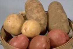 Любительницы картошки имеют повышенный риск диабета