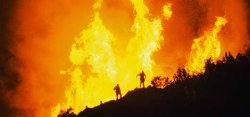 Калифорния охвачена лесными пожарами