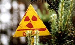 Нострадамус и Тарковский - предсказатели трагедии в Чернобыле?