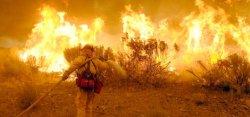 Лесной пожар сжигает Калифорнию