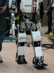 Очередной робот-гуманоид при ходьбе разгибает ноги