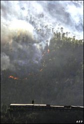 На Канарах 10 тысяч человек покинули свои дома из-за пожаров