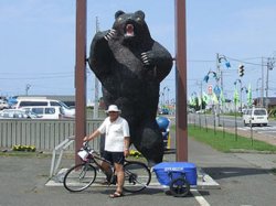 В Петропавловске грибник спасся от медведя на велосипеде