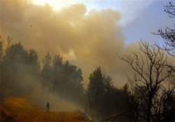 Ущерб от пожаров в Греции оценили в пять миллиардов евро