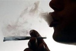 Исследование: Дым марихуаны токсичнее табака