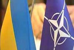 Томенко: Коалиция готова на компромисс по НАТО