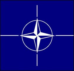 США настаивает на приеме Украины и Грузии в НАТО