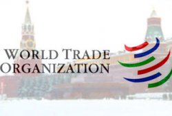 На пути России в ВТО остались Украина и Грузия