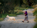В Челябинской области коза 