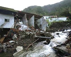 Жертвами тайфуна 