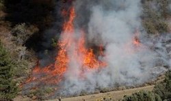 Необычайная жара вызвала волну пожаров по всему Ливану