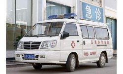 Китайские автомобили будут спасать украинцев от свиного гриппа