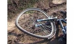 ДТП в Житомирской области: водитель сбил двоих велосипедистов