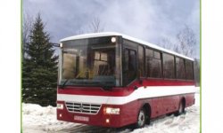 В Чернигове начали производство нового автобуса