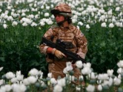 США крышуют производство героина в Афганистане
