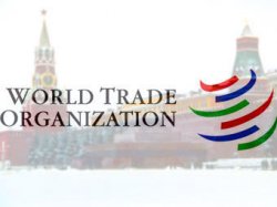 России надоело стоять в предбаннике ВТО