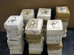В Петербурге выявили партию кокаина весом в 117 килограммов