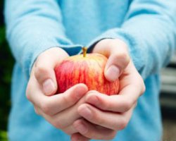 Кожура натуральных яблок содержит самые полезные вещества