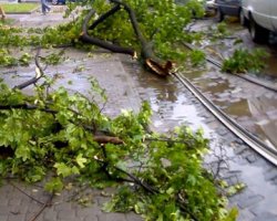 Ураган в Харькове: Погибла девушка