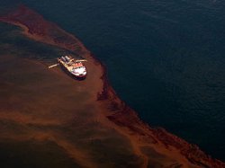 Утечку нефти в Мексиканском заливе недооценили в 12 раз