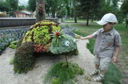 В Киеве появился Чебурашка из цветов
