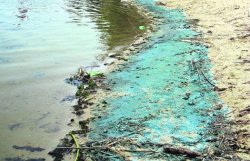 На пляже в районе Конча-Заспы обнаружили опасные химикаты