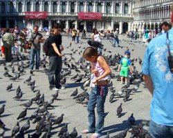 Итальянцам запретили кормить голубей и целоваться в машине