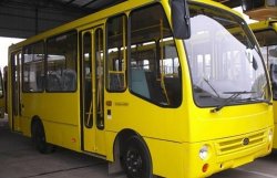 В Украине выпустили больше автобусов и меньше автомобилей