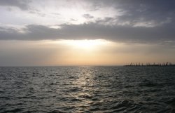 В море в районе Одессы попало неизвестное загрязнение