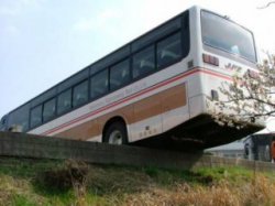 В Албании автобус сорвался с обрыва: погибли 14 человек