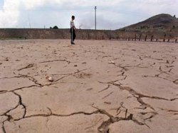 РФ: Площадь погибших от засухи посевов выросла до 10 миллионов гектаров