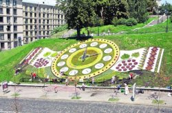 Цветочным часам в Киеве сменили дизайн