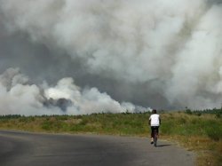 Лесной пожар в Луганской области локализован