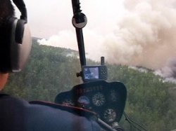 Площадь лесных пожаров в России превысила 120 тысяч га