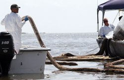 Аварийную скважину в Мексиканском заливе заглушат навсегда