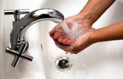 СЭС: самое главное в жару - мыть руки 