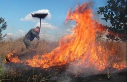 В Украине зарегистрировано 568 пожаров