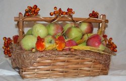 Украина вошла в Ассоциацию производителей яблок и груш