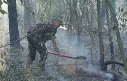 Под Киевом третьи сутки горят торфяники