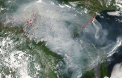 ООН запустила сайт по мониторингу пожаров на Земле