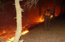 В Украине сохраняется угроза лесных пожаров