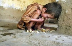 ООН: число голодающих в мире снизилось впервые за 15 лет