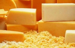 В Украине твердый сыр подорожает до 100 грн/кг