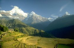 В Гималаях обнаружен неизвестный язык