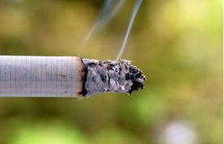 ООН: через 20 лет от курения будут умирать 8 млн. человек