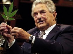 Джордж Сорос выступил за легализацию марихуаны в США