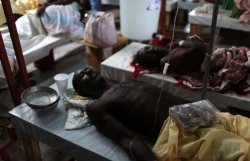 Эпидемия холеры на Гаити: более тысячи погибших