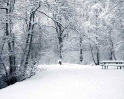 В ближайшие дни Украину ожидают мороз и снег