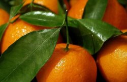 Мандарины и апельсины лечат сердце