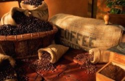 Экспорт кофе в 2010 принес Бразилии рекордные 5,66 млрд. долл 